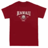 Vintage Dyed Tee - Collegiate: Wine -Fashion Store 14671 VintageTeeCollegiateHawaii Front Wine 05058.1663892469