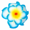 Small Double Plumeria Clip: Blue -Fashion Store 16080 OluOlu DoubleSmall Blue 26217.1668558282