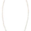 Freshwater Pearl Necklace 32": White 2 Freshwater Pearl Necklace 32": White -Fashion Store 33732 FreshwaterPearls Necklace32 White 49954.1704415739