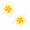 Medium Plumeria Stud Earrings: White -Fashion Store 74259 OluOluPP MediumStud White 85627.1668563711