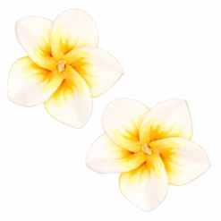 Medium Plumeria Stud Earrings: White