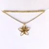 Liv-N-Aloha® Gold Columbine Flower Necklace -Fashion Store Columbine Flower NL 02834.1595355821.1280.1280 49658.1634172840