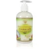Island Soap Company Hand And Body Soap Pump: Mango Coconut Guava -Fashion Store HS mango coconut guava 08854.1668046318