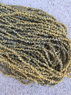 Shell Lei Gift Set 8 Shell Lei Gift Set -Fashion Store il 570xn.764410096 4ge1 grande 81611.1592423675.1280.1280 57838.1691605833