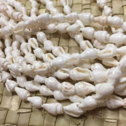 Shell Lei Gift Set 10 Shell Lei Gift Set -Fashion Store il fullxfull.774749577 l2s8 07390.1592423675.1280.1280 88011.1691605833