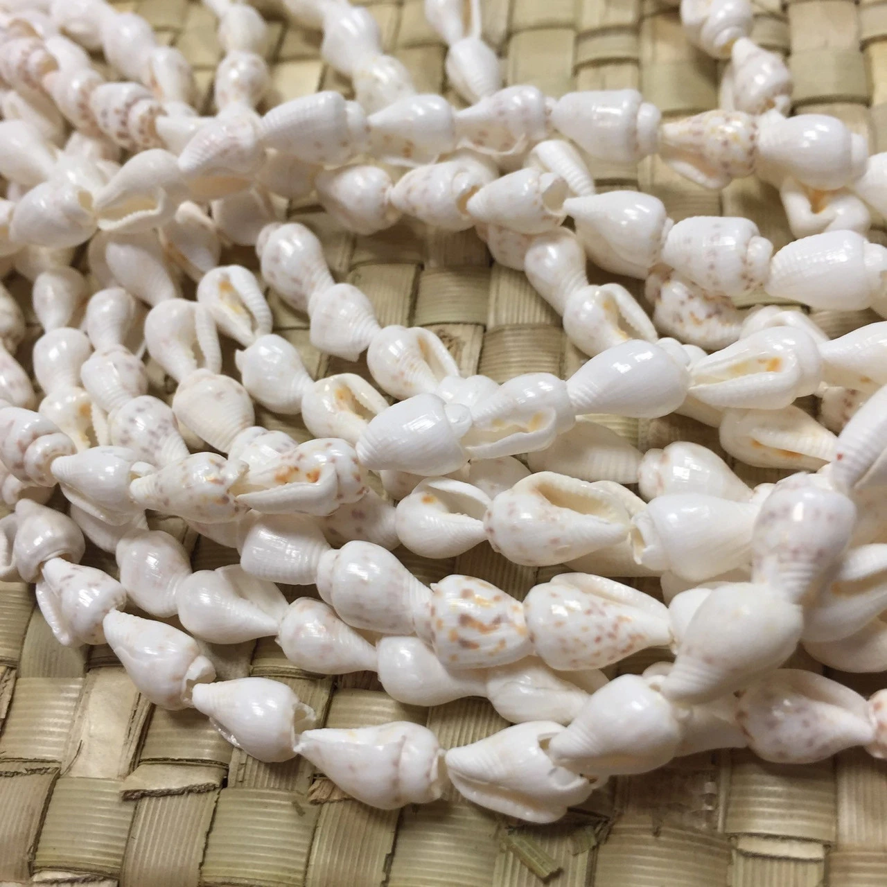 Shell Lei Gift Set 6 Shell Lei Gift Set - Image 4